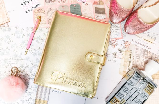 Wild for Planners Collab Sale Glamour Shops